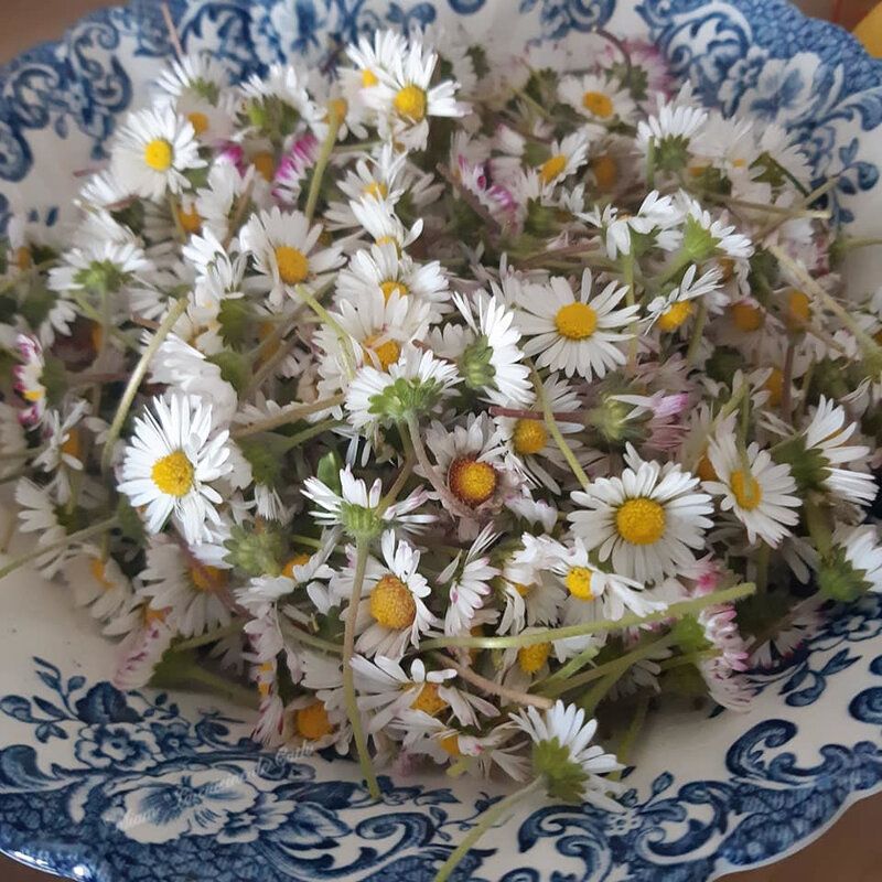 70 cl en ml : Conversion en un Clic