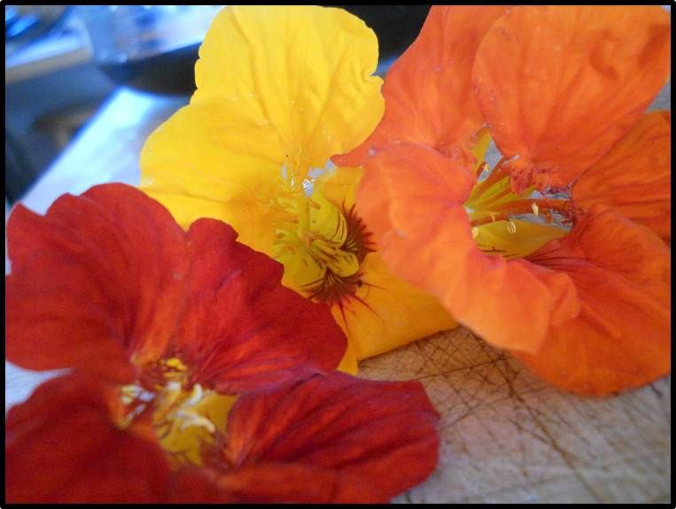 70 cl en ml : la conversion sans attente