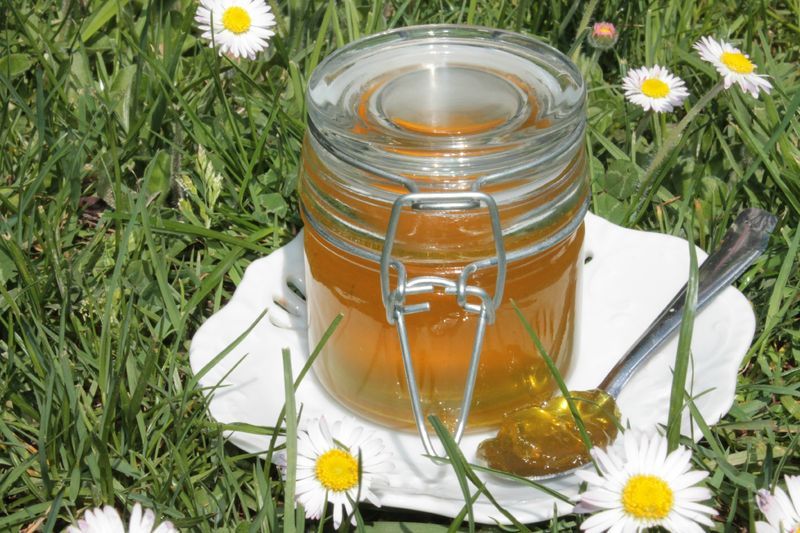 70 cl en ml : Conversion en un Clic